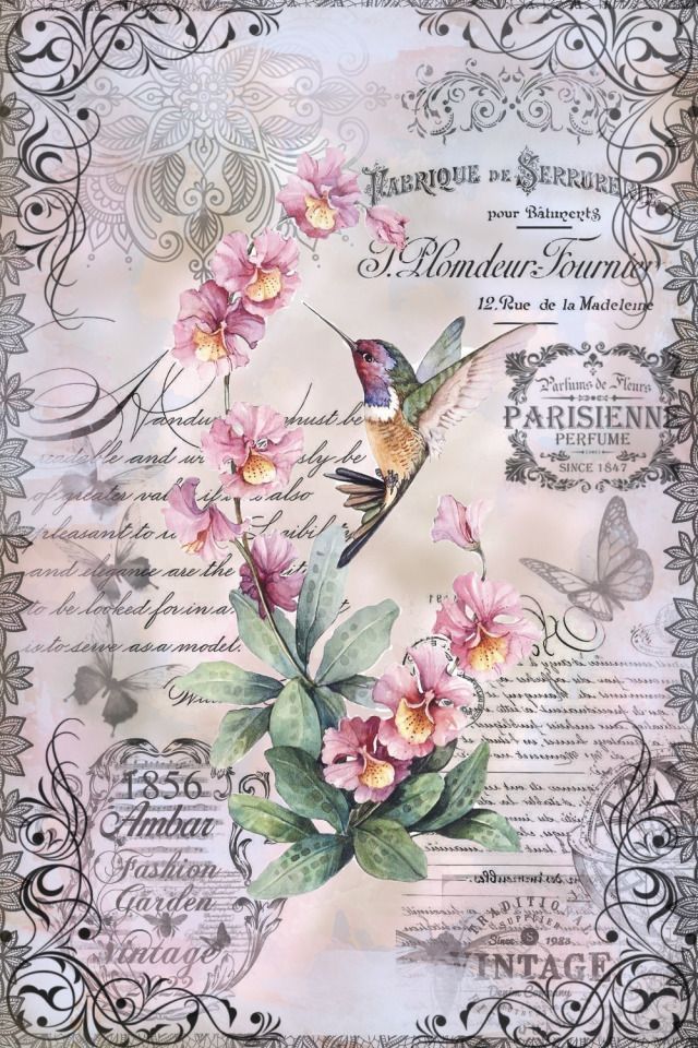 Birds Rice Papers