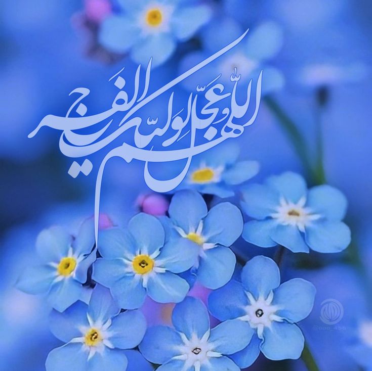 Islamic Rice Papers Collection 2