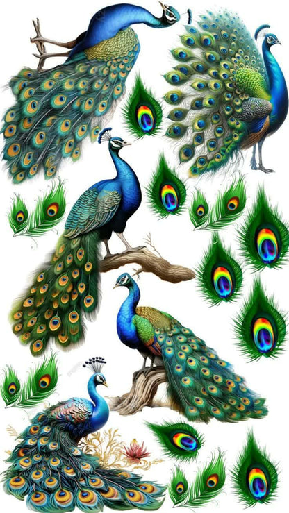 Waterslide Decals A