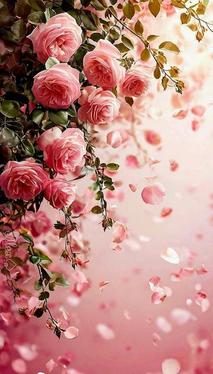 Scents of Colours