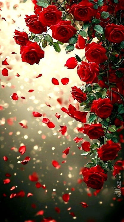 Scents of Colours