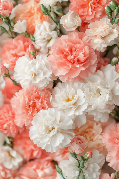 Scents of Colours