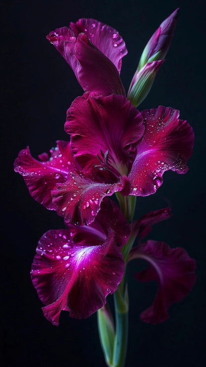 Scents of Colours