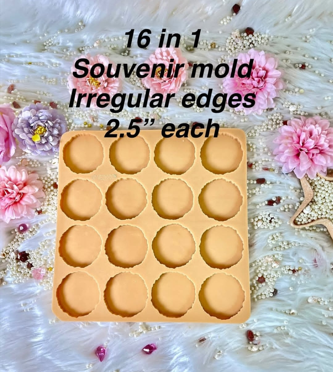 Souveir Mold 16 cavities 2.5" each