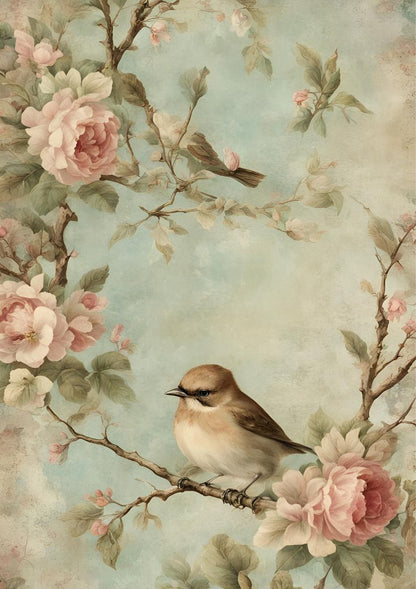 Birds Rice Papers