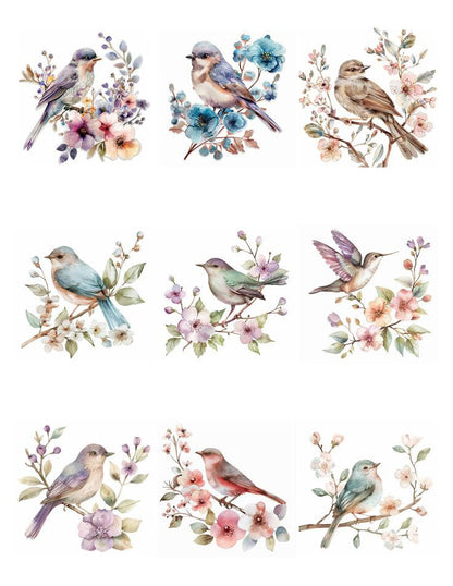 Waterslide Decals B