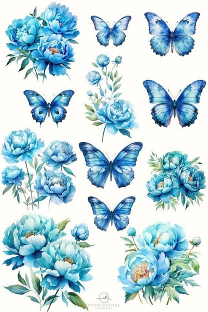 Waterslide Decals B