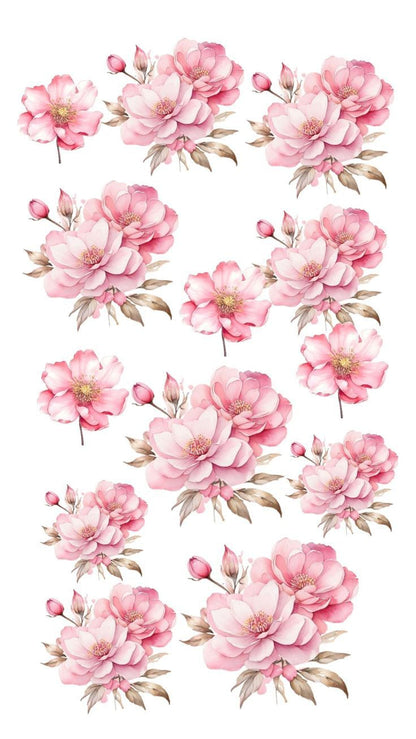 Waterslide Decals B
