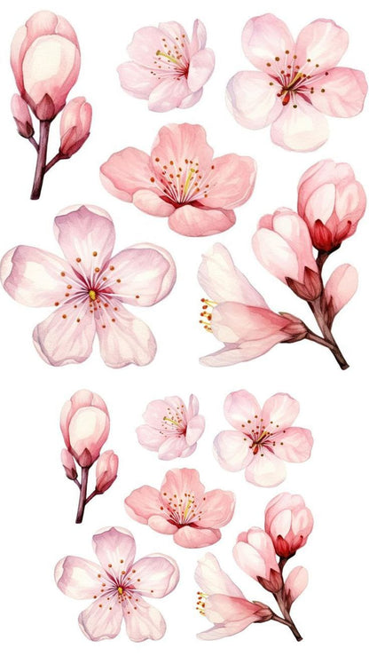 Waterslide Decals B