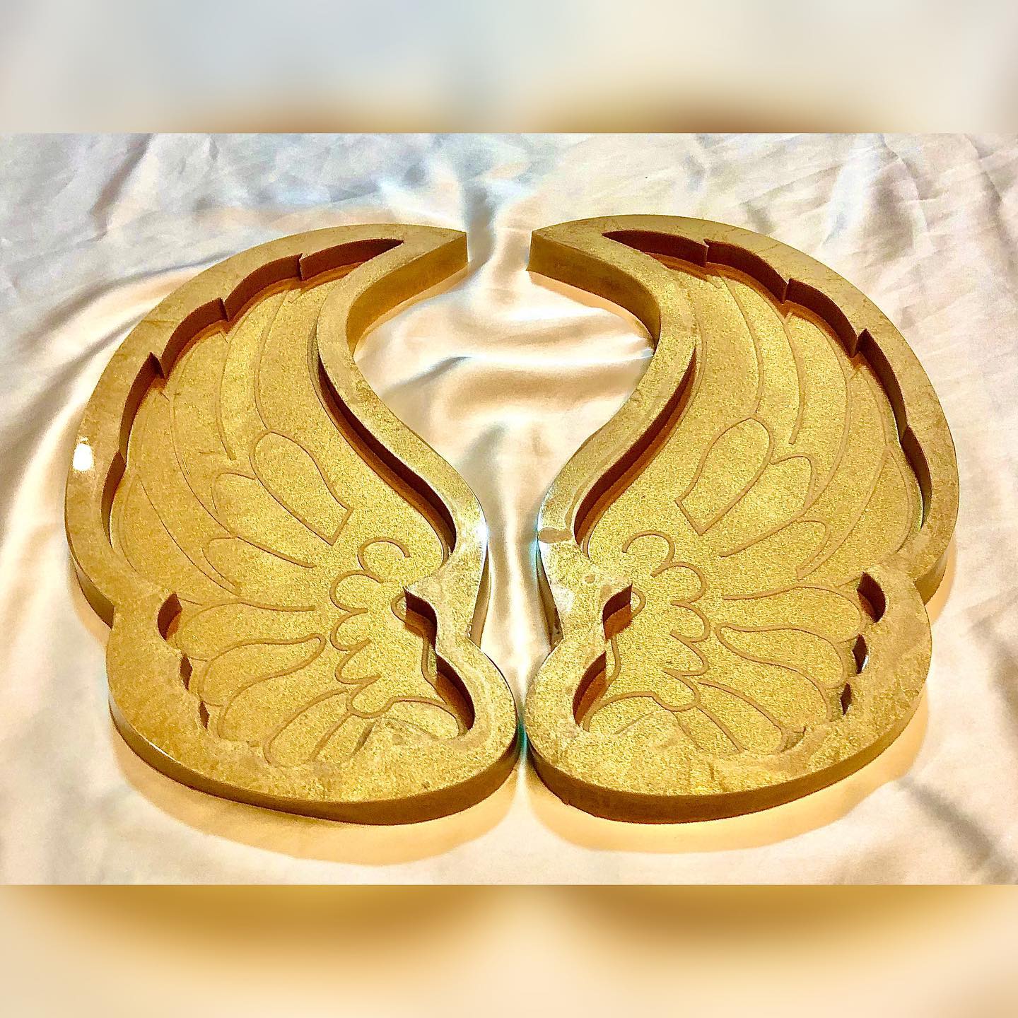 Wings Mold / 10/5"